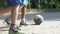 Boys legs hitting ball playing street game, healthy outdoor activity competition