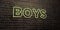 BOYS -Realistic Neon Sign on Brick Wall background - 3D rendered royalty free stock image