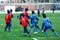 Boys in red and blue sportswear plays soccer on green grass field. Youth football game. Children sport competition, kids plays