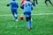 Boys in red and blue sportswear plays soccer on green grass field. Youth football game. Children sport competition, kids plays