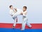 Boys with a red and white belt do paired exercises karate