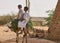 Boys riding a donkey loaded with green plants through a village in the desert