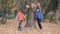 Boys run around the trunk of a large tree and toss the autumn yellow leaves up.