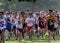 Boys running in a high school 5K cross xountry race in a park