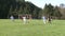 Boys soccer practice (1 of 6)