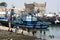 Boys swim in the fishing harbour at Essaouira in Morocco.