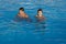 Boys swimming