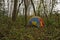 Boys tent in the woods.