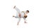 Boys are training judo throw on a white background