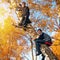 Boys on the Tree