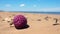 Boysenberry On Sandy Beach: A Whimsical British Landscape