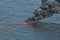 BP Deepwater Horizon Oil Spill