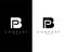 BP, PB letter abstract company Logo Design vector