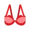 Bra or Brassiere vector illustration, flat style icon