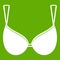 Bra lingerie icon green