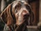 Bracco Italiano dog created with Generative AI technology