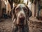 Bracco Italiano dog created with Generative AI technology