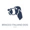 Bracco Italiano dog icon. Trendy flat vector Bracco Italiano dog