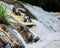 Brace yourself guys. a group of determined young men on a rubber boat busy paddling on strong river rapids outside