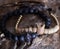 Bracelet with little crown on stone texture