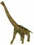 Brachiosaurus