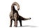 Brachiosaurus altithorax dinosaur 3d illustration isolated with shadow on white background