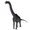 Brachiosaurus Dinosaur on White