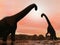 Brachiosaurus dinosaurs by sunset - 3D render