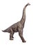 Brachiosaurus dinosaurs toy.