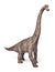 Brachiosaurus dinosaurs toy isolated on white background with clipping path.