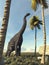 Brachiosaurus in the jungle looking at a palm tree.