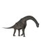 Brachiosaurus Jurassic dinosaur. 3D illustration isolated on white background