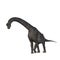 Brachiosaurus Jurassic dinosaur. 3D illustration isolated on white background