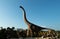 A Brachiosaurus model with blue sky in the Dinosaur valley, the