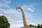 Brachiosaurus realistic model. Head close of dinosaur