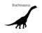 Brachiosaurus. Sauropodomorpha dinosaur. Monochrome vector illustration of silhouette of prehistoric creature