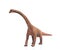 Brachiosaurus toy on white background