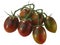 Brad`s atomic  grape heirloom tomatoes on the vine, cluster of, isolated Solanum lycopersicum fruits