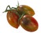 Brad`s atomic grape heirloom tomatoes on the vine, cluster of,  isolated Solanum lycopersicum fruits