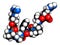 Bradykinin peptide molecule. 3D rendering.