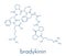 Bradykinin peptide molecule. Skeletal formula