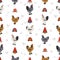 Brahma Chicken breeds seamless pattern. Poultry and farm animals. Different colors set