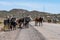 Brahman or Zebu bulls on the road to Gheralta in Tigray, Northern Ethiopia