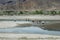 Brahmaputra River in Tibet