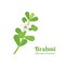Brahmi Bacopa monnieri is one of the medicinal plants in Ayurvedic medicine.