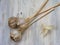 Braided garlic on shabby wooden background