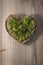 braided heart filled with green moss on old wood background