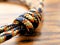 Braided Nylon Rope Knot on Wood Grain Background for Climbing, Camping