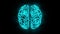 Brain 005 - Infographic 4K Neon