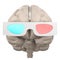 Brain in 3D stereo glasses